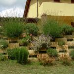 manutenzione giardini pelago