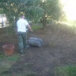 manutenzione giardini